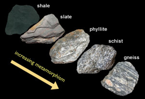 With compaction clay-rich mud becomes shale, then with increasing metamorphism changes to slate, phyllite, then schist, and eventually gneiss.